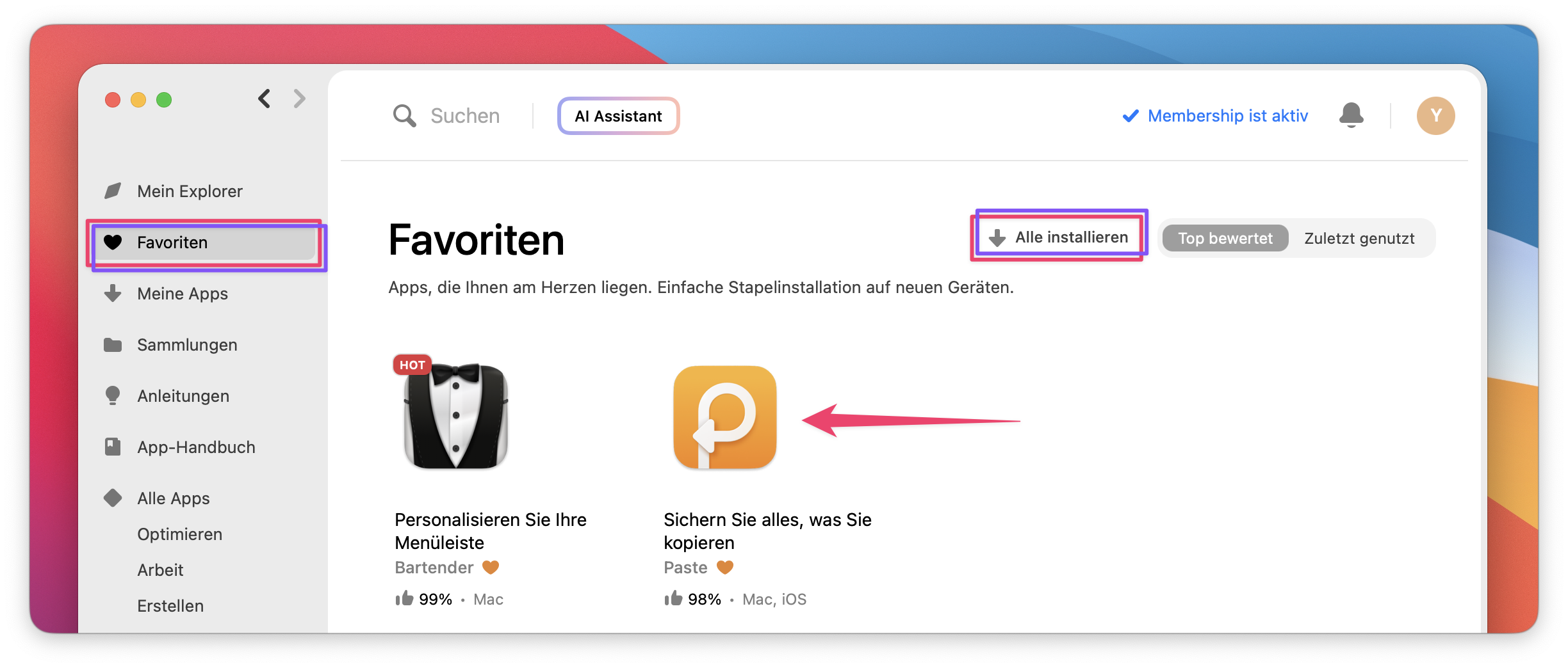 Der Screenshot zeigt die Favoriten-Ansicht mit markierter App „Paste“, aktiviertem Bereich „Favoriten“ und dem Button „Alle installieren“.