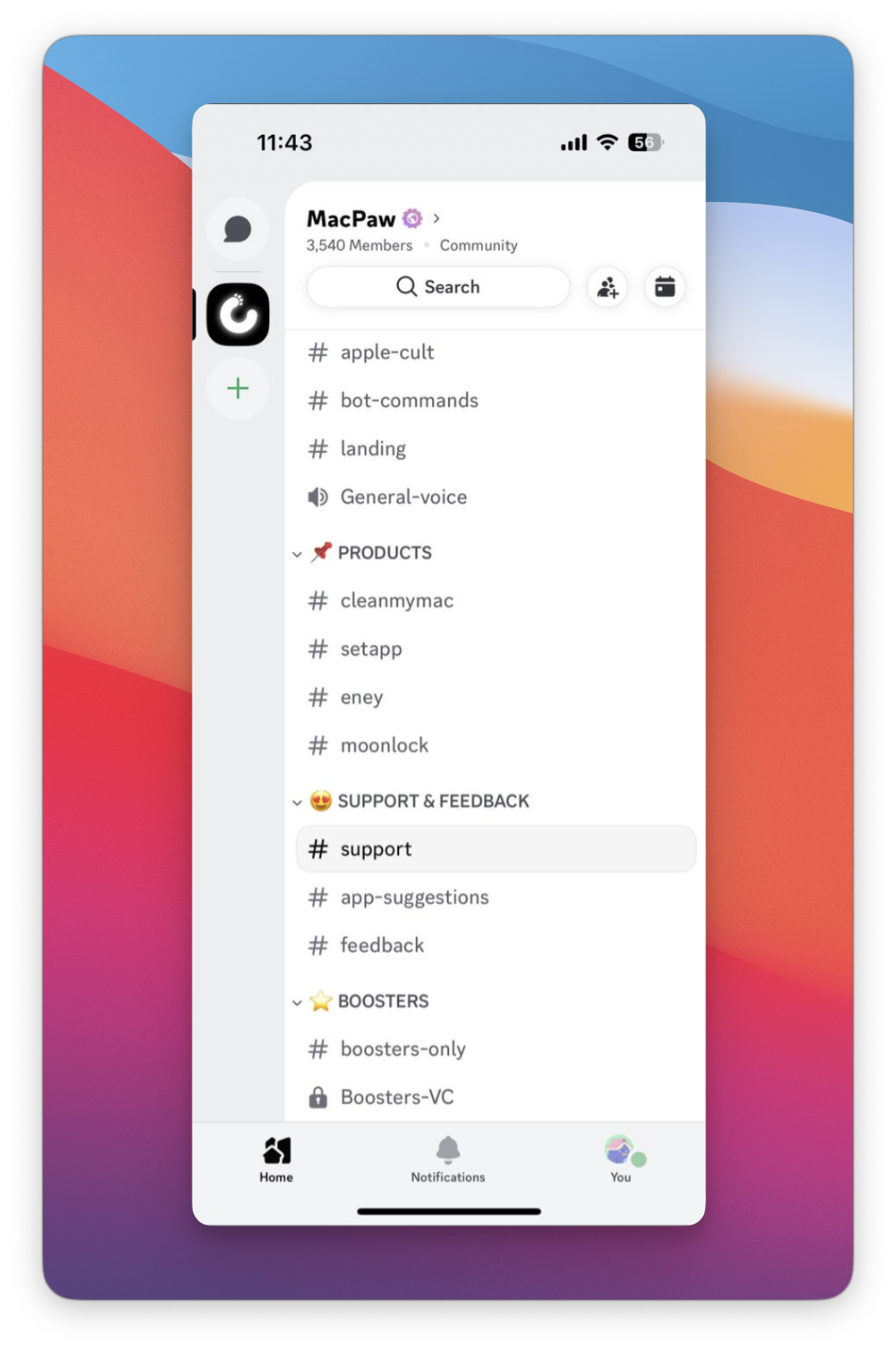 The screenshot shows the #support channel selected in the MacPaw Discord workspace under the "SUPPORT & FEEDBACK" section.