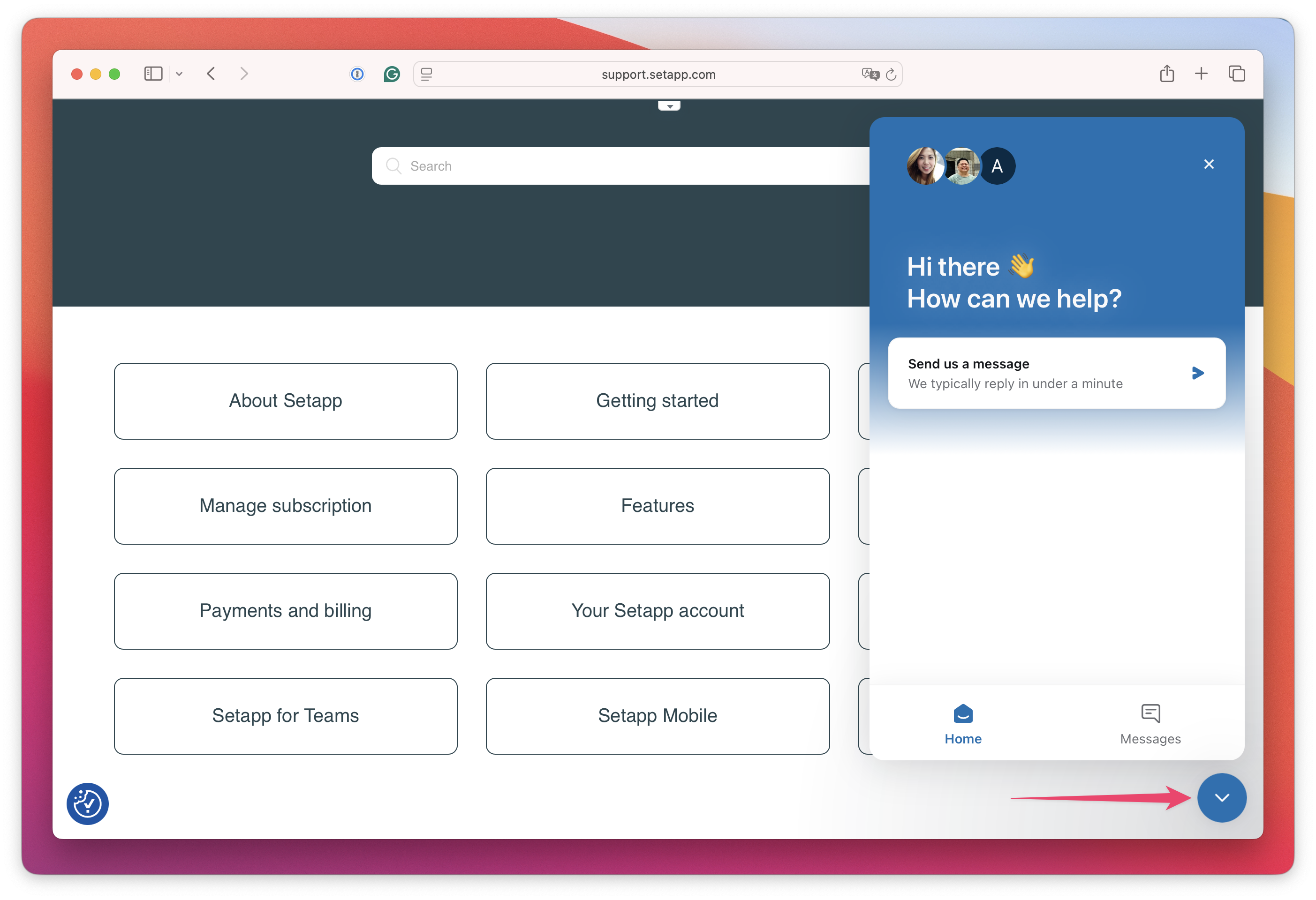 The screenshot shows the support chat widget open on the Setapp support page, ready for sending a message.
