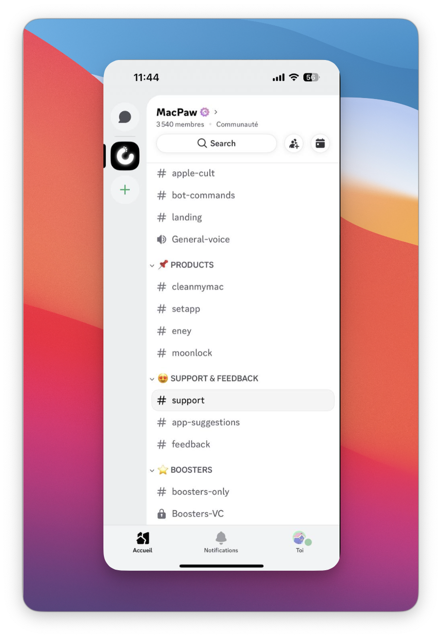 Le screenshot montre le canal Discord « support » sélectionné dans la section « SUPPORT & FEEDBACK ».
