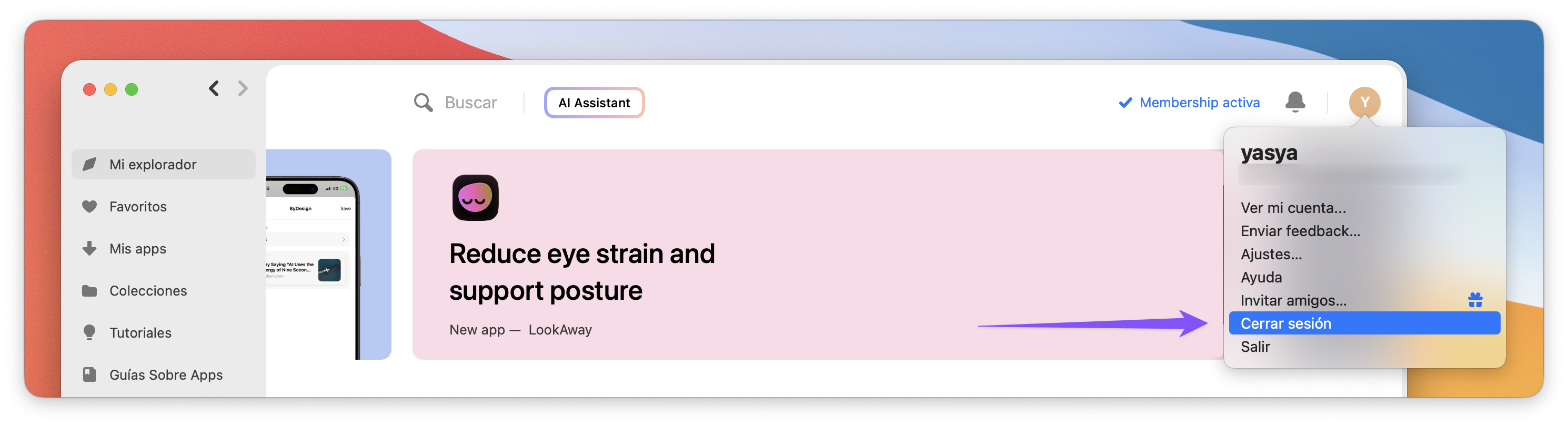La captura muestra el menú desplegable de cuenta en la interfaz de la app de Setapp con la opción “Cerrar sesión” resaltada.